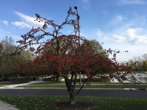 Concert Hall «Fraze Pavilion», reviews and photos, 424E Lincoln Park Blvd, Kettering, OH 45429, USA