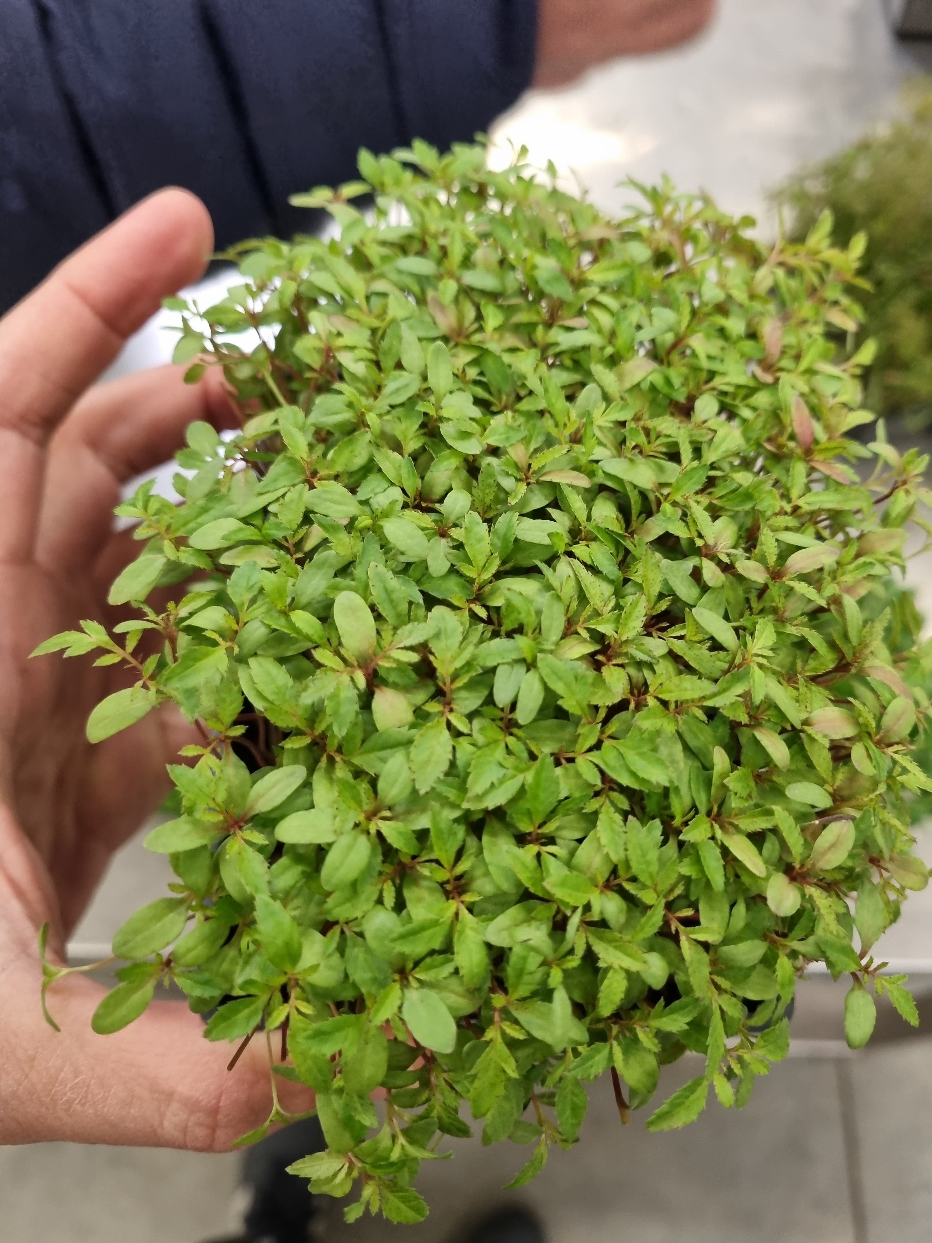 Photo n° 2 de l'avis de Yan.e fait le 23/04/2024 à 03:40