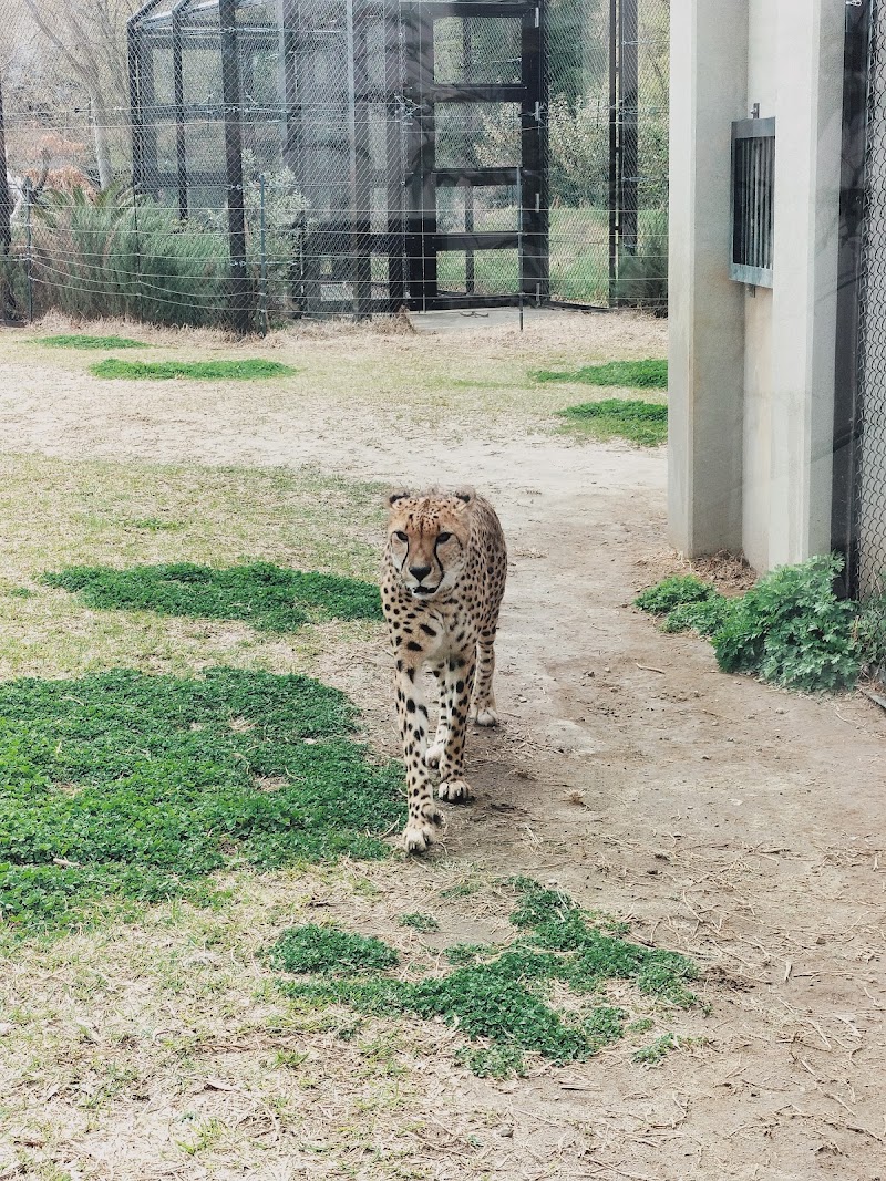 千葉市動物公園駐車場