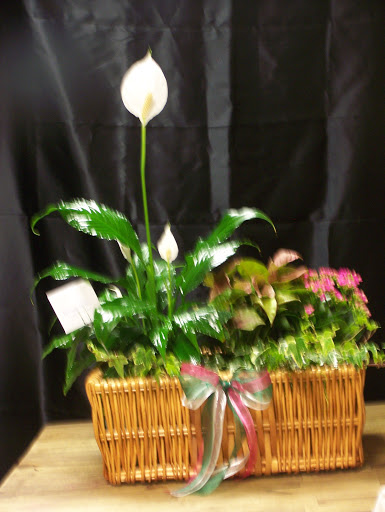 Florist «Petals On Main», reviews and photos, 400 Main St, Rio Vista, CA 94571, USA