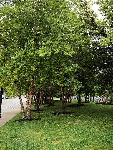 Park «Veterans Park», reviews and photos, 1 Naval Park Cove, Buffalo, NY 14202, USA