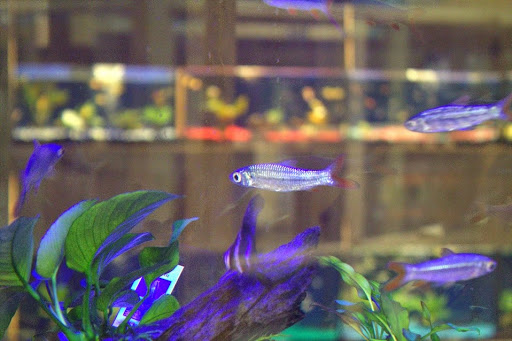 Pet Supply Store «CountryMax - Spencerport», reviews and photos, 4658 W Ridge Rd, Spencerport, NY 14559, USA