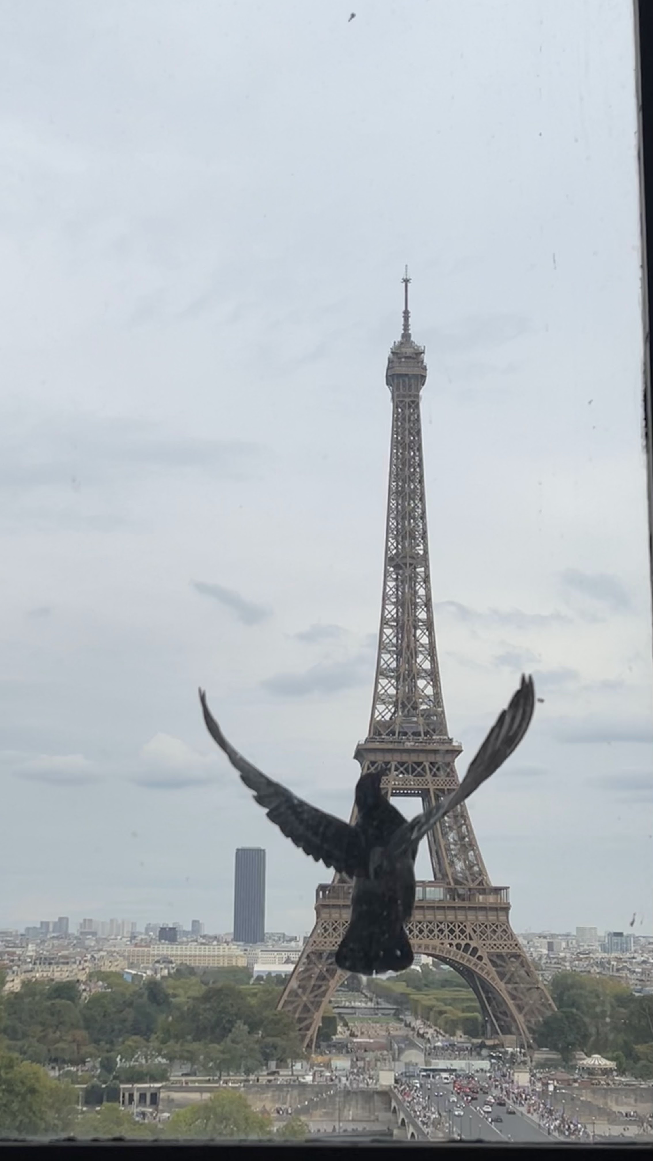 Photo n° 1 de l'avis de stephane.u fait le 17/09/2023 à 18:52