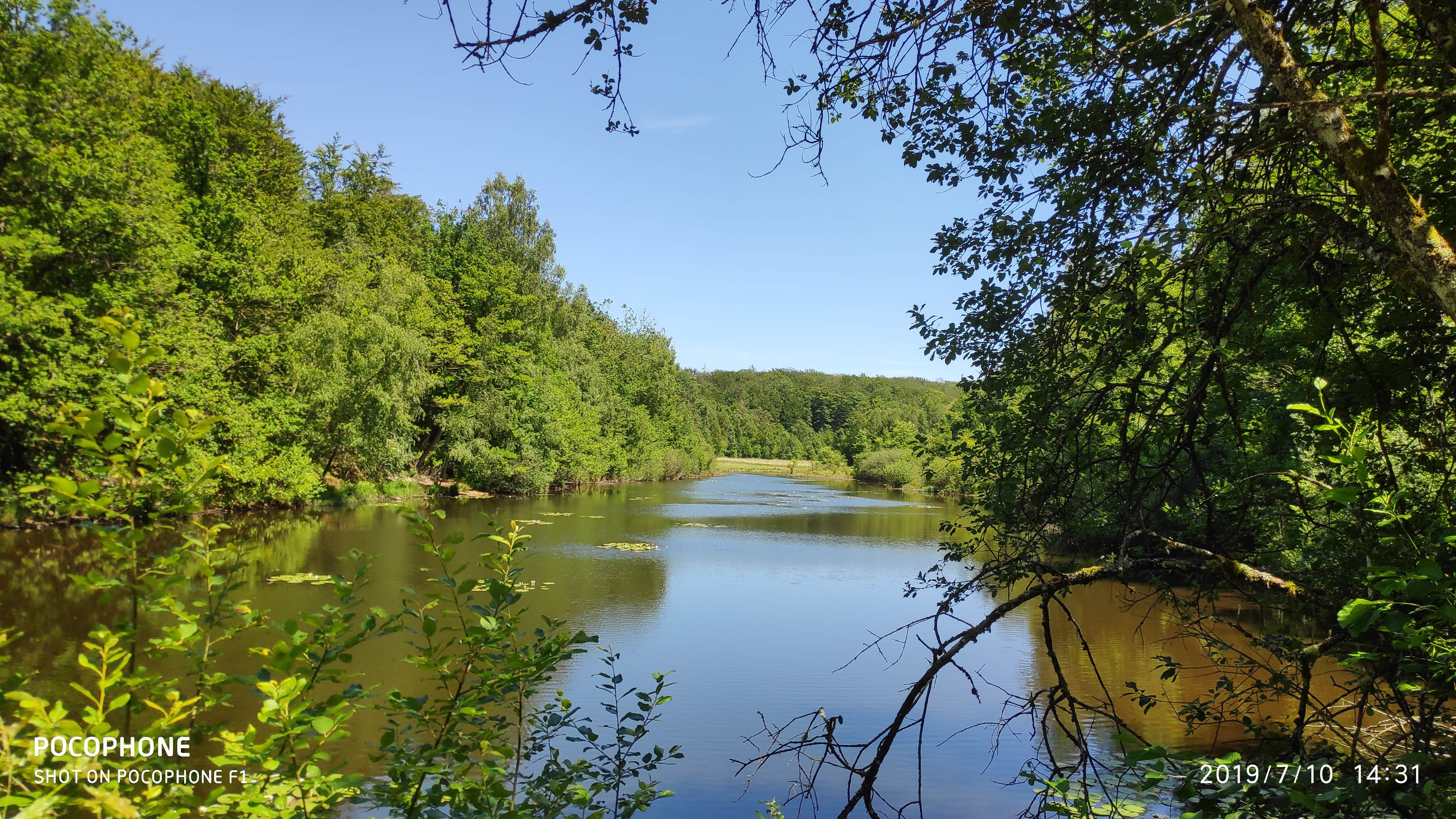 Photo n° 2 de l'avis de Christophe.e fait le 12/07/2019 à 08:35