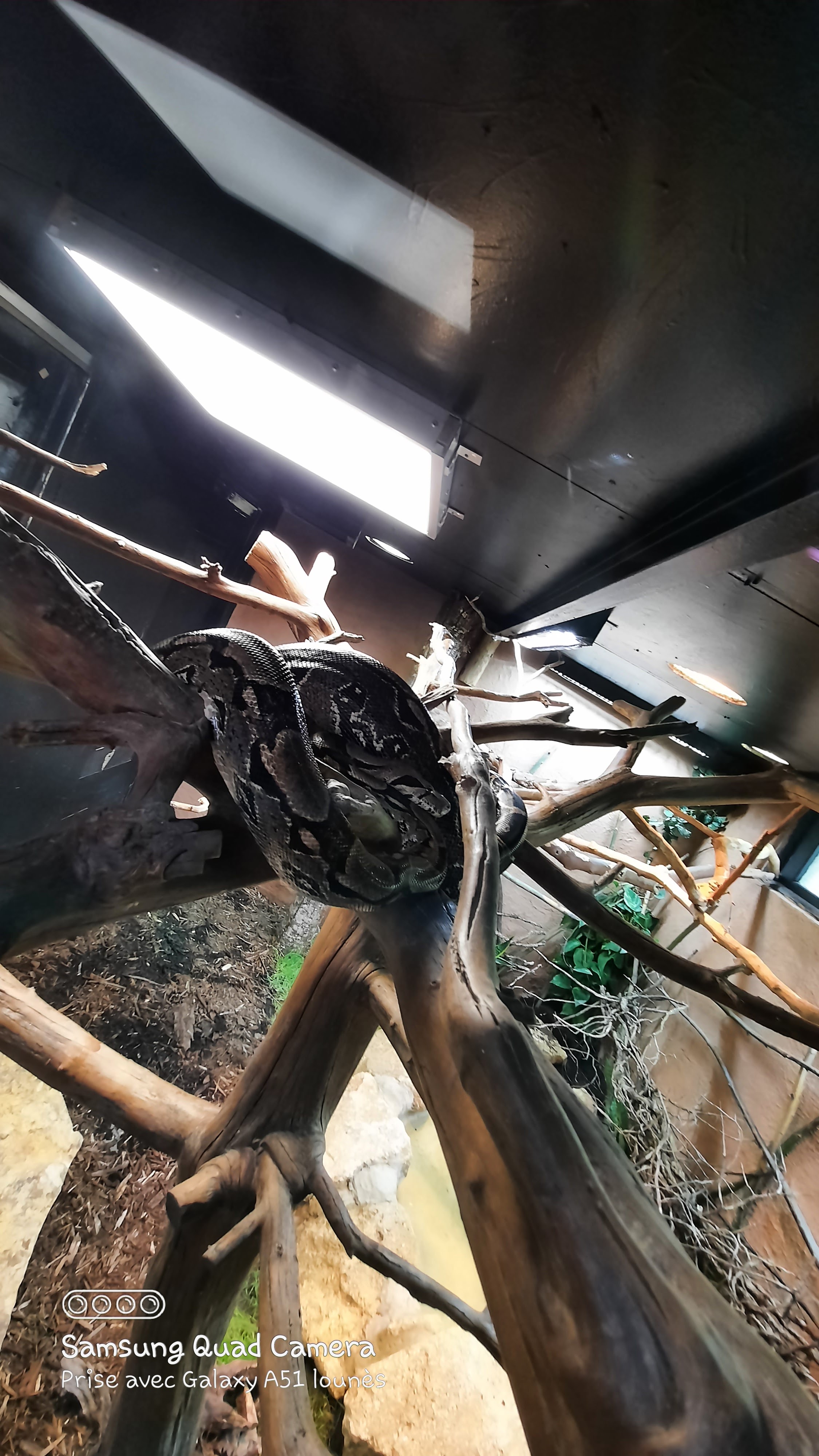 Photo n° 37 de l'avis de Lounes. fait le 02/06/2021 à 21:26