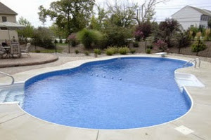 Moe's Pool & Spa Services -Swimming