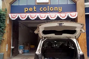 Pet Colony image