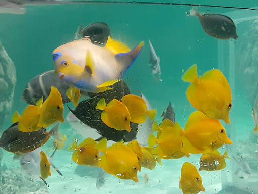 Movie Theater «Regal Cinemas River Ridge 14», reviews and photos, 3411 Candlers Mountain Rd, Lynchburg, VA 24502, USA