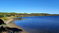 Corongiuali Beach'in fotoğrafı vahşi alan