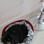 Photo n° 1 de l'avis de René.o fait le 30/10/2023 à 14:52 pour Cabinet vétérinaire de la Poste - Dr Courquet et Allgeyer à Montreuil