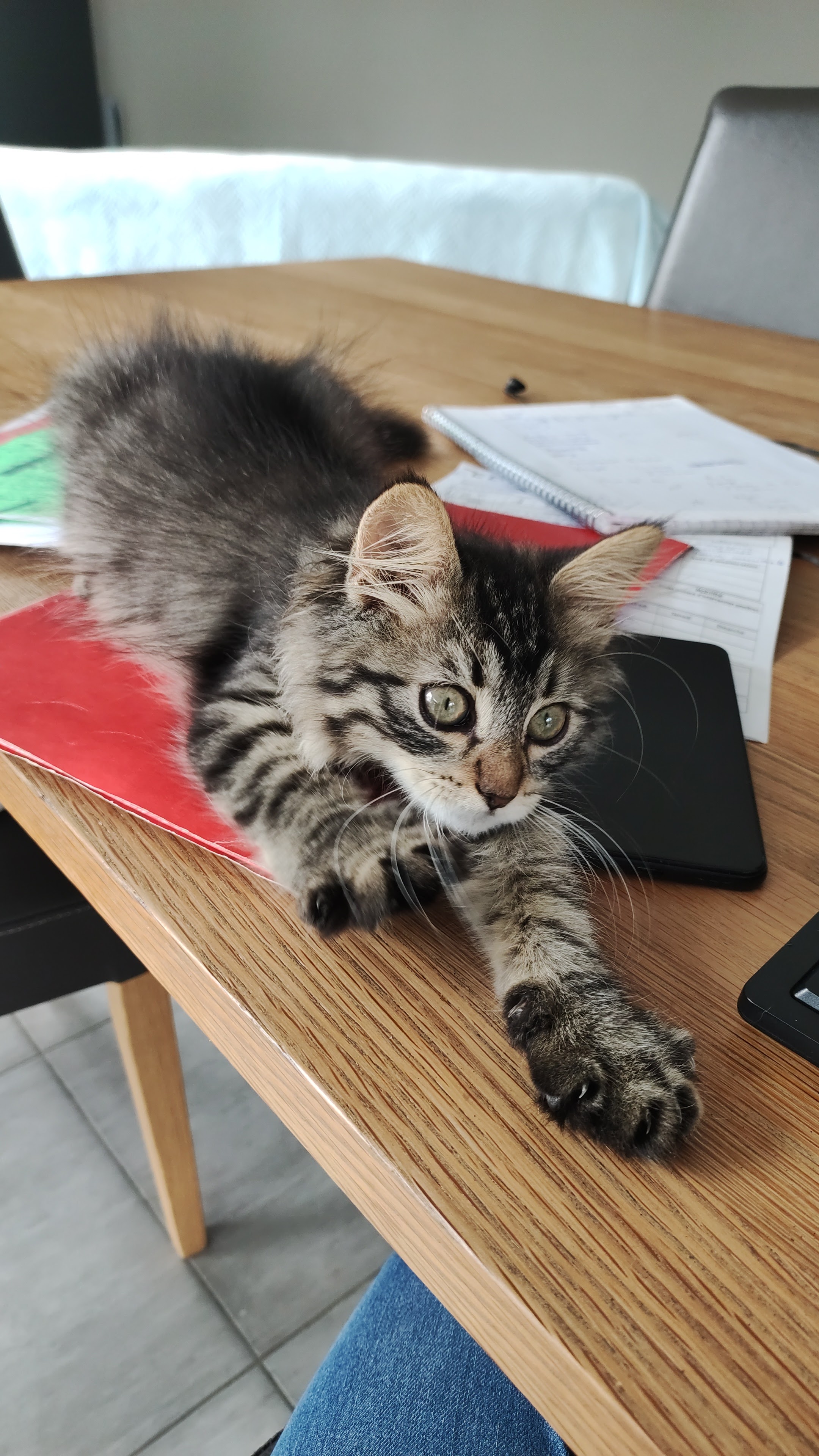 Photo n° 2 de l'avis de Alexandra. fait le 19/09/2023 à 18:14