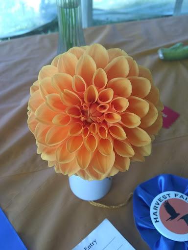 Nature Preserve «Norman Bird Sanctuary», reviews and photos, 583 3rd Beach Rd, Middletown, RI 02842, USA