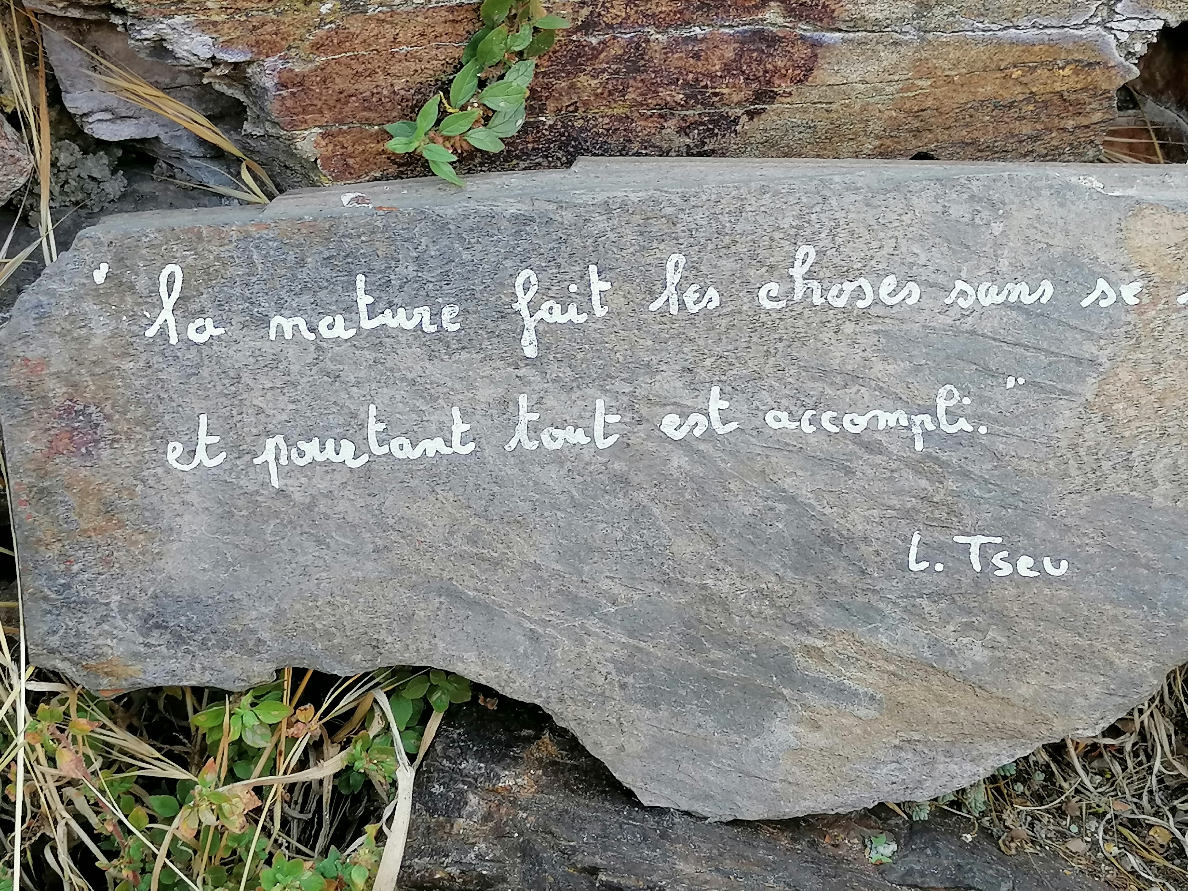 Photo n° 15 de l'avis de francis.o fait le 18/08/2020 à 13:49
