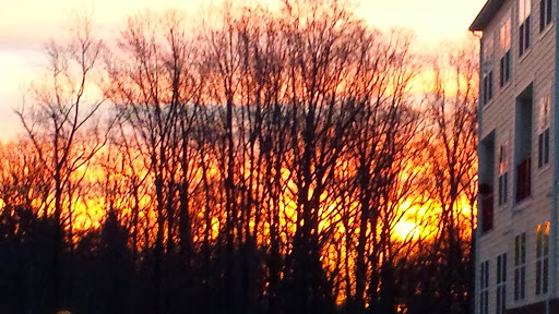 Park «East Blake Lane Park», reviews and photos, 9540 Bel Glade St, Fairfax, VA 22031, USA