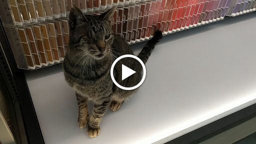 Hardware Store «Do It Best», reviews and photos, 609 W Monroe St, Bangor, MI 49013, USA