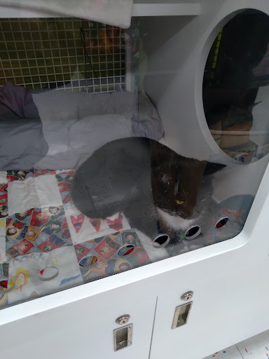 Pet Supply Store «Petco Animal Supplies», reviews and photos, 10190 W McDowell Rd, Avondale, AZ 85323, USA