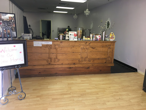 Pet Groomer «Spoiled Petz Pet Store and Grooming», reviews and photos, 12030 Donner Pass Rd #1, Truckee, CA 96161, USA