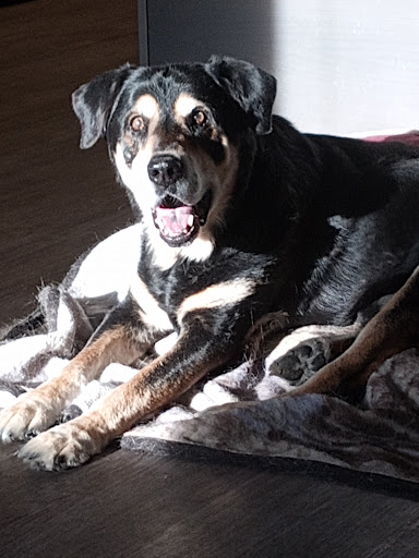 Riverbend Veterinary Hospital image