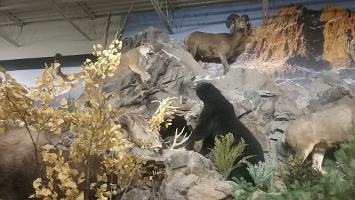 Outdoor Sports Store «Field & Stream», reviews and photos, 870 Walt Whitman Rd Ste B, Melville, NY 11747, USA