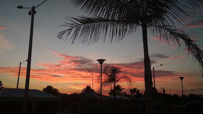 Centro de Alto Rendimiento RIO VERDE - Campo de fútbol