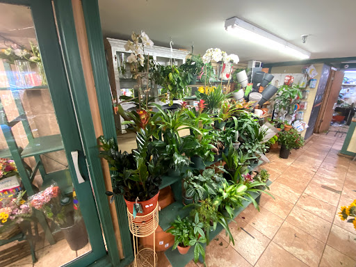 Florist «Bouquets and Baskets», reviews and photos, 548 Jersey Ave, Jersey City, NJ 07302, USA