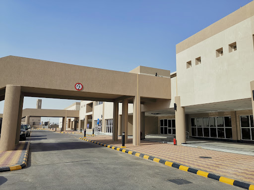 نادي الروضة الرياضي 