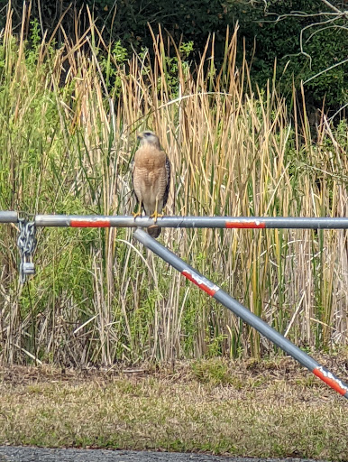 Recreation Center «Carrollwood Meadows Rec Center», reviews and photos, 13918 Farmington Blvd, Tampa, FL 33625, USA