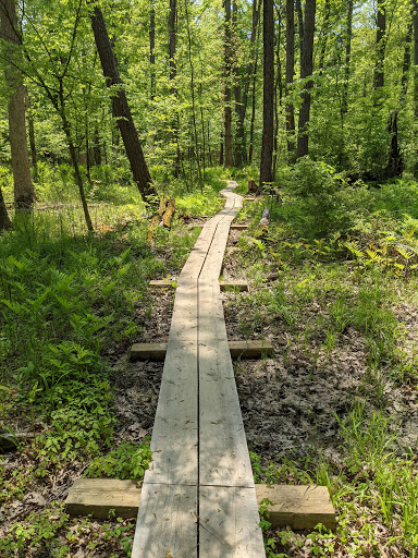 Touhey Family Preserve