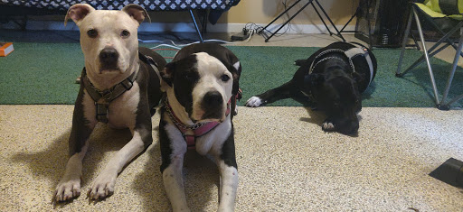 Pet Store «Planet Pet», reviews and photos, 1980 W Fairbanks Ave, Winter Park, FL 32789, USA