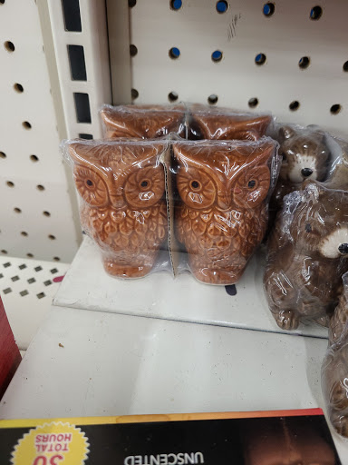 Dollar Store «Dollar Tree», reviews and photos, 8545 Edinburgh Centre Dr, Brooklyn Park, MN 55443, USA