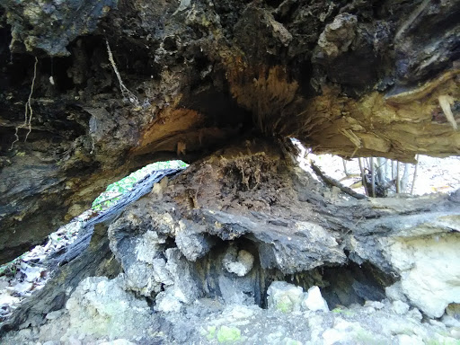 Nature Preserve «Clyde Shepherd Nature Preserve», reviews and photos, 2580 Pine Bluff Dr, Decatur, GA 30033, USA