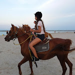 Photo n°5 de l'avis de Antonella. fait le 24/07/2018 à 08:58 sur le  Agriturismo Fattoria degli Animali La Collinara à Comacchio