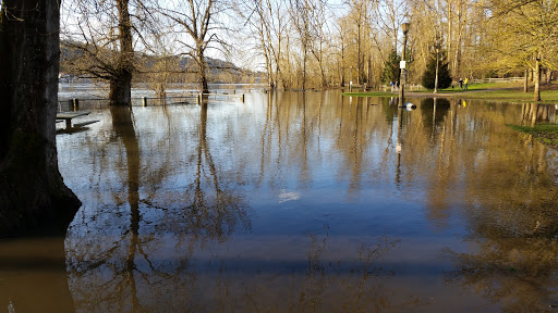 Park «Sellwood Riverfront Park», reviews and photos, SE Oaks Park Way, Portland, OR 97202, USA