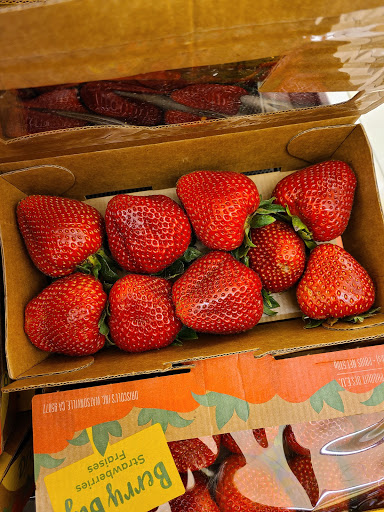 Supermarket «Giant», reviews and photos, 7074 Allentown Rd, Camp Springs, MD 20748, USA