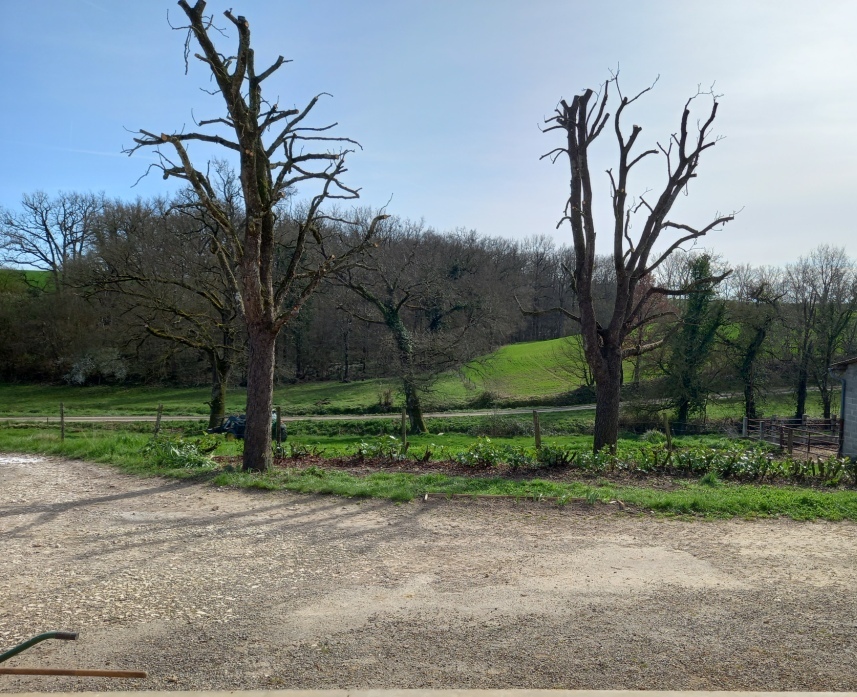 Photo n° 2 de l'avis de Valérie.o fait le 20/03/2022 à 19:39