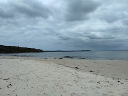 Cabbage Tree Beach'in fotoğrafı - rahatlamayı sevenler arasında popüler bir yer