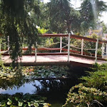 Photo n°2 de l'avis de Olimpia.i fait le 11/09/2021 à 17:38 sur le  Gianni al Vesuvio à Ercolano