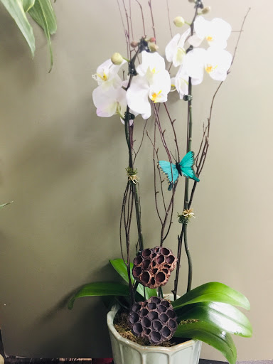 Florist «Rogers Park Florist», reviews and photos, 1415 W Morse Ave, Chicago, IL 60626, USA