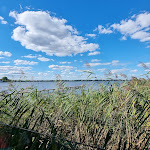 Photo n°1 de l'avis de Achim.a fait le 01/09/2022 à 14:14 sur le  Strandcafé-Betriebs GmbH à Bad Zwischenahn