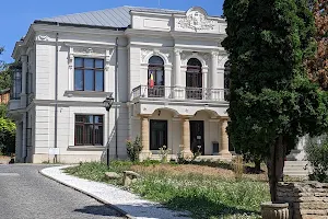 Romanian Literature Museum - Pogor Memorial House image