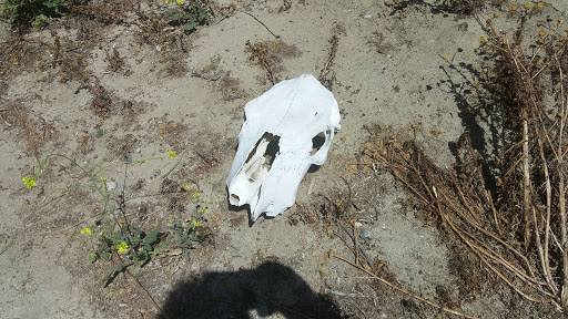 Museum «Heritage Museum of Orange County», reviews and photos, 3101 W Harvard St, Santa Ana, CA 92704, USA