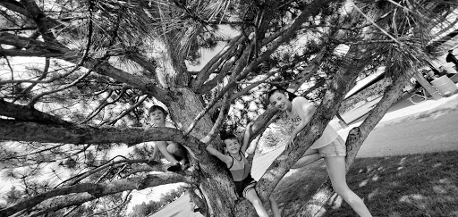 Park «Cherry Park Pavilion», reviews and photos, 11500 Birch Dr, Thornton, CO 80233, USA