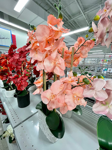 Clothing Store «Burlington Coat Factory», reviews and photos, 290 Turnpike Rd #10, Westborough, MA 01581, USA