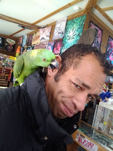 Boutique «Su Casa Boutique», reviews and photos, 1041 N Cedar St, Lansing, MI 48906, USA