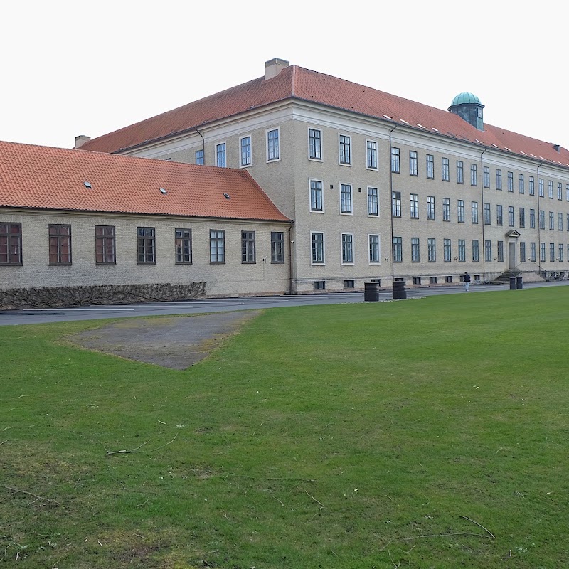 Viborg Katedralskole