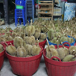 สวนวันเพ็ญ ทุเรียนปราจีน