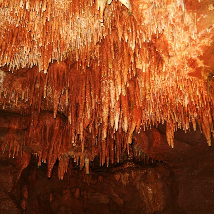 Bull Shoals Caverns