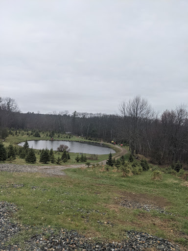 Outdoor Sports Store «Maple Hill Disc Golf», reviews and photos, 132 Marshall St, Leicester, MA 01524, USA