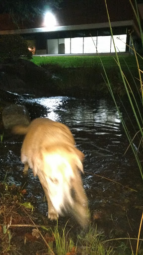 Park «Pioneer Park», reviews and photos, 14545 NW Pioneer Rd, Beaverton, OR 97006, USA