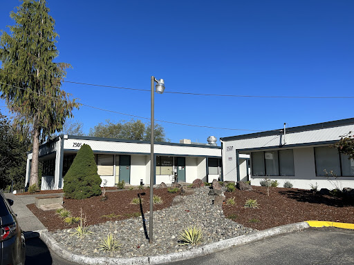 Explore triple moon tattoo ideas, creative tattoo ideas in Port Orchard, available at Whimsy & Wraith Tattoo LLC